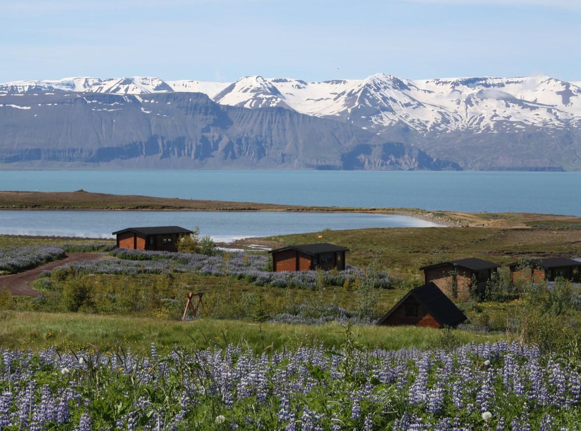 Kaldbaks-Kot Cottages Húsavík Exterior foto